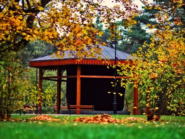 Galeria zdjęć