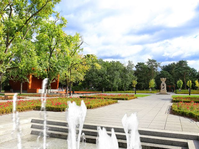 Galeria zdjęć