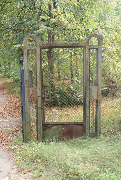 Galeria zdjęć
