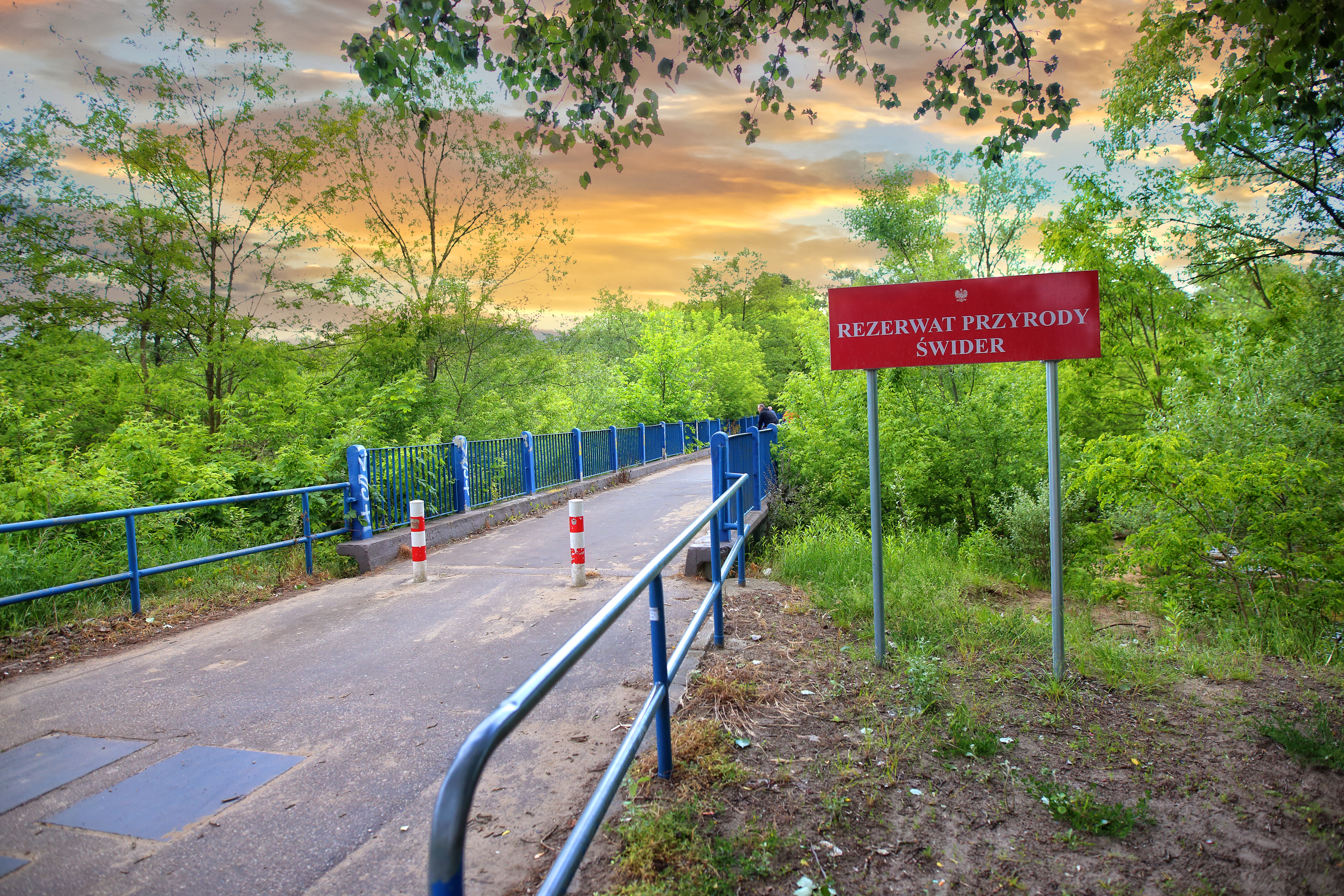 Galeria zdjęć