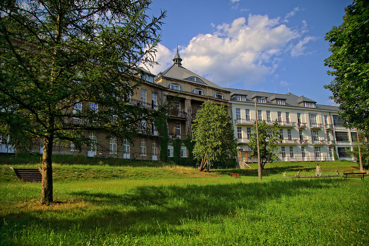 Galeria zdjęć