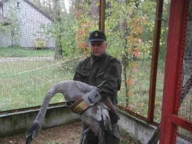 Galeria zdjęć