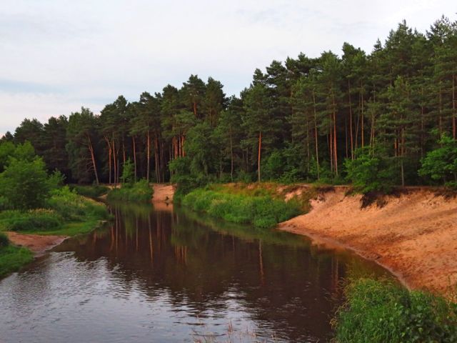 Galeria zdjęć