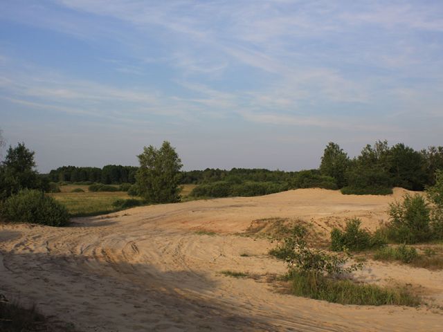 Galeria zdjęć