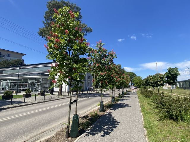 Galeria zdjęć