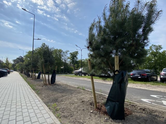 Galeria zdjęć