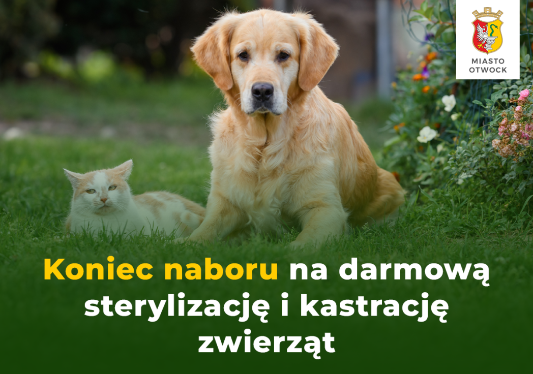 Zakończenie naboru na bezpłatną...