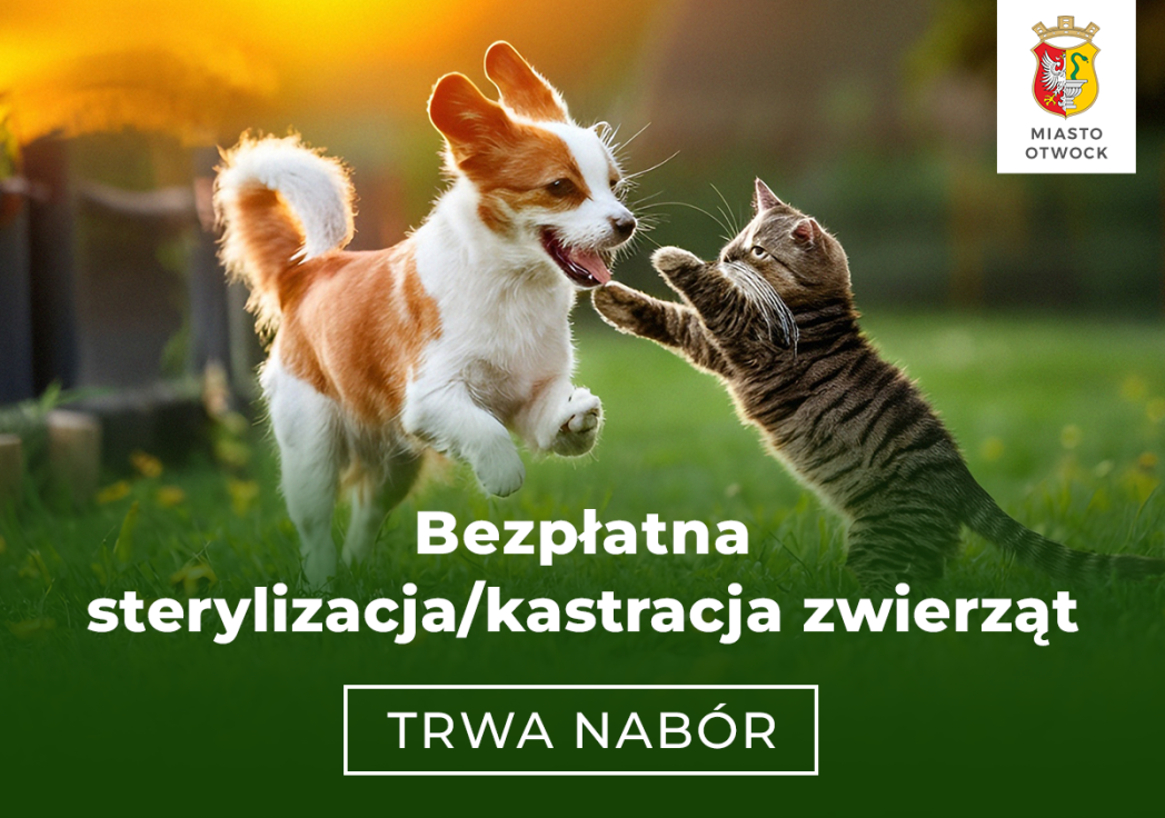 Nabór do programu sterylizacji, kastracji, czipowania psów i kotów 