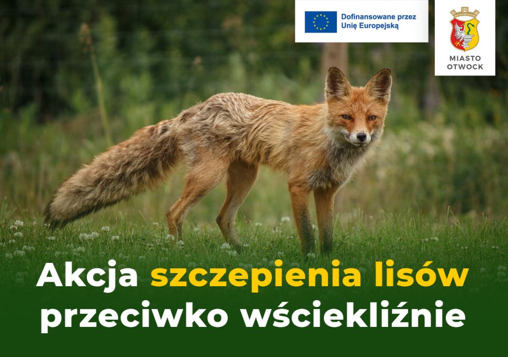 Akcja szczepienia lisów 10-16 września...
